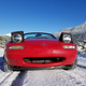 Illustration for article titled Miata vs. Wild